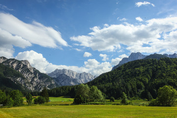 Mountains in the summer