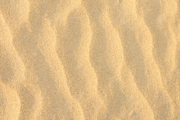 Fototapeta na wymiar Golden Seashore Fine Sand Background. Ripple Wave Texture Pastel Colors Sun Flare. Empty Copy Space. Tropical Vacations Relaxation Concept