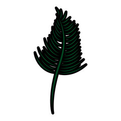 single leaf icon image vector illustration design 