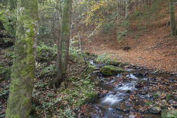 Landschaft in Kärnten