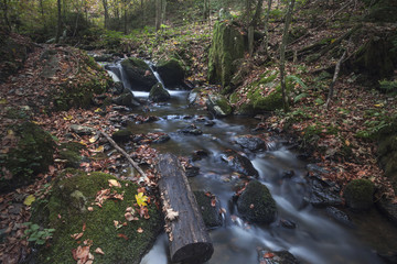 Landschaft in Kärnten