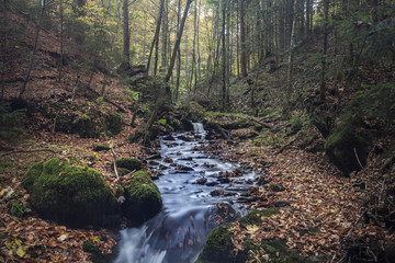 Landschaft in Kärnten