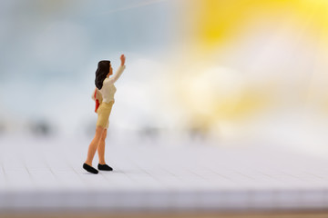 miniature working woman