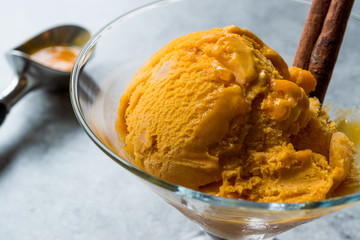 Pumpkin Pie Ice Cream Gelato with Cinnamon Stick.