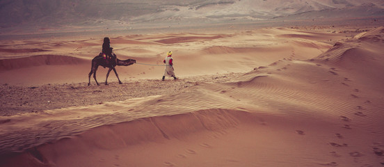 Fototapeta na wymiar Camels on the sand dunes in the Sahara Desert. Morocco, Africa.