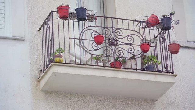 15927_The_red_and_blue_flower_pots_on_the_terrace.mov