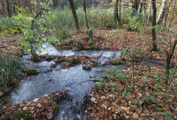 Landschaft in Kroatien