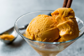 Pumpkin Pie Ice Cream Gelato with Cinnamon Stick.