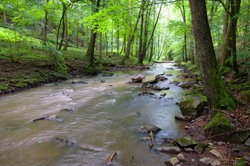 Zbirožsky Creek on the Krivoklatsko, Central Bohemia, Czech republic, Europe