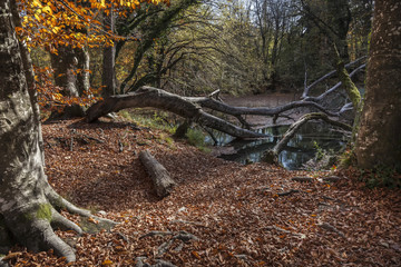 Landschaft in Kroatien