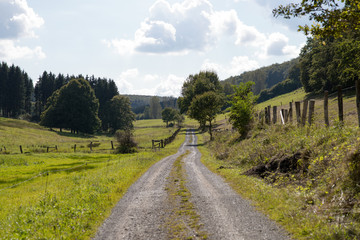 a path in a rural landscape with meadows in germany