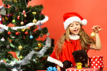 Girl in xmas hat plays with puppies holding golden ball.