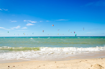 Fototapeta na wymiar Many kite surfers enjoy their loved sport
