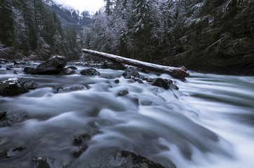 A winter window into the beautiful Mt. Baker Snoqualmie National Forest with snow covered landscapes in Washington State, USA.