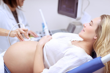 Obraz na płótnie Canvas Pregnant female on ultrasound scan