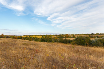 Fototapeta premium Rural fall landscape under the blue sky