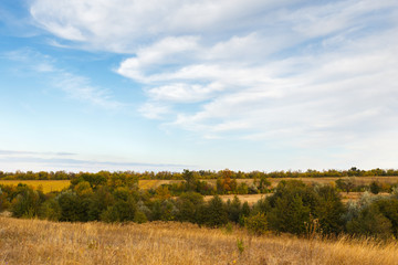 Fototapeta premium Rural fall landscape under the blue sky