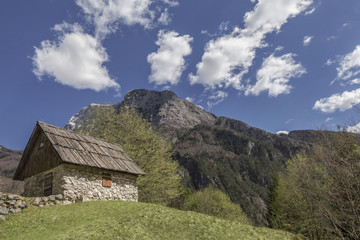 Fototapeta na wymiar Landschaft in Slowenien