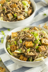 Homemade Asian Tofu Soba Noodle Bowl