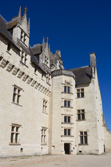 Fototapeta na wymiar Castle of Montsoreau, Pays-de-la-Loire, France