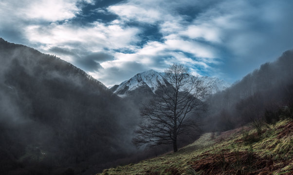 Fototapeta Montagne dans la brume