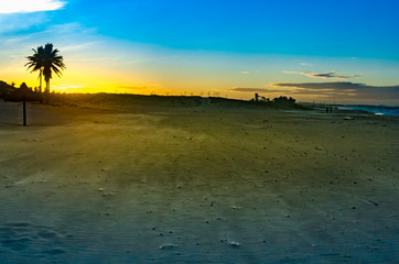 Beach landscape at the sunset with windmills