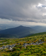 Mountain green valley in the Carpathian Mountains.