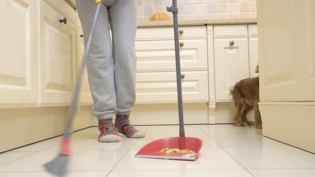 Dog eats from floor while his owner sweeps the kitchen floor