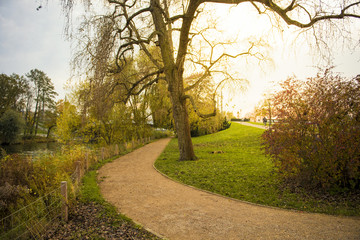 Naklejka premium walk way in the park at autumn