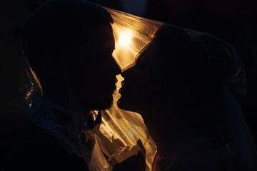 Fototapeta premium silhouettes of young people under the wedding veil who want to kiss