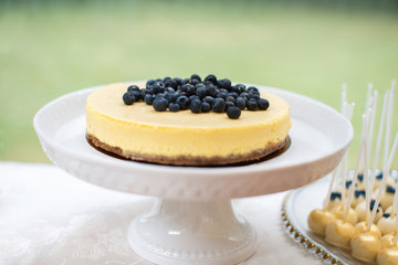 Cakes with blueberries on the white plate