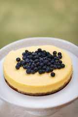 Cakes with blueberries on the white plate