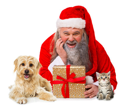 Weihnachtsmann mit Haustieren