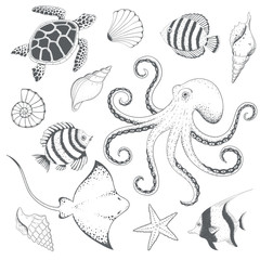 Ocean hand drawn set. Vector illustration.