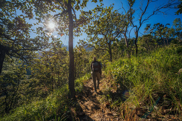 Fototapeta na wymiar Asia men walking in the forest