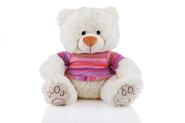 White teddy bear in colorful t-shirt