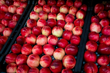 nectarines in the market