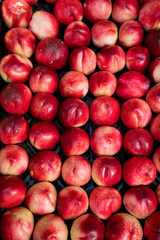 nectarines in the market