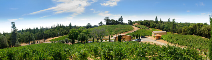 View of vineyards in the Sierra Nevada's foothills of Northern California - obrazy, fototapety, plakaty