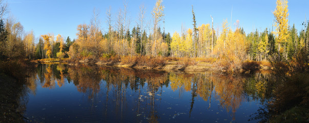 Fall colors around Moose Lake in Northern Idaho
