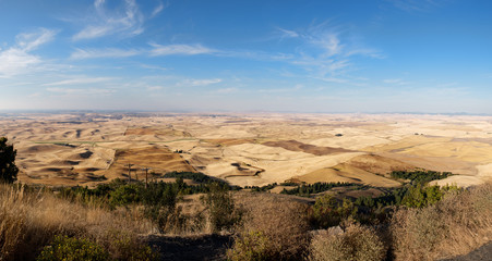 Panoramic view of the Palouse are of Washington state