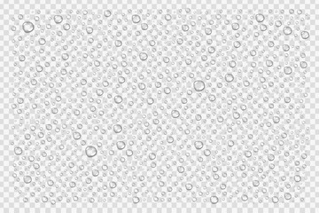 Vector realistic isolated water droplets for decoration and covering on the transparent background.