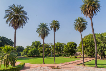 Fototapeta na wymiar Garden of Humayun tomb in Delhi, India.