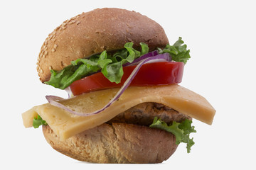 one big hot appetizing cheeseburger