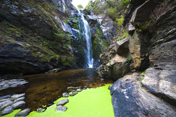 Cataracts of the toxa