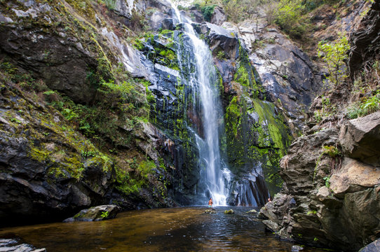 Cataracts of the toxa