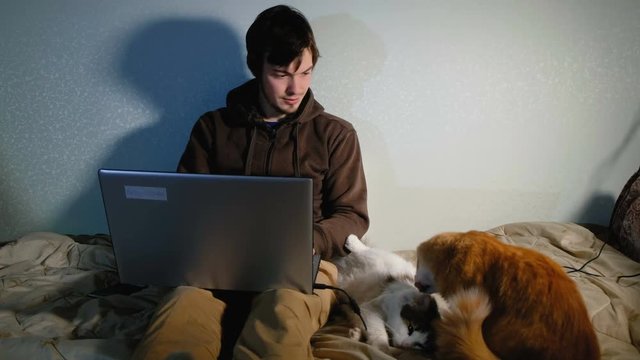 A young man working at a computer at home, sitting on the bed with the cats, the cats bask and play.