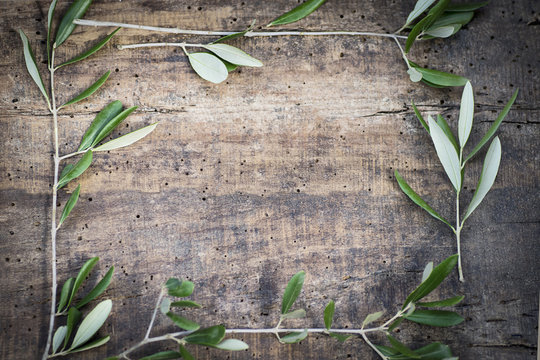 Rustic summer background with olive branches in an antique textured tree and a copy space. Colors of the Mediterranean