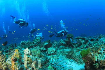 Cercles muraux Plonger Plongée sous-marine