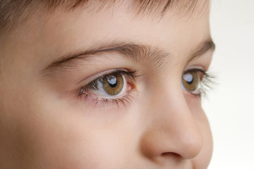 Close up view of a green boy's eye 